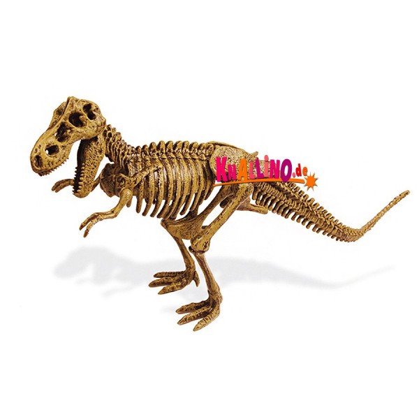 Geoworld T-Rex-Skelett Dino-Ausgrabungsset