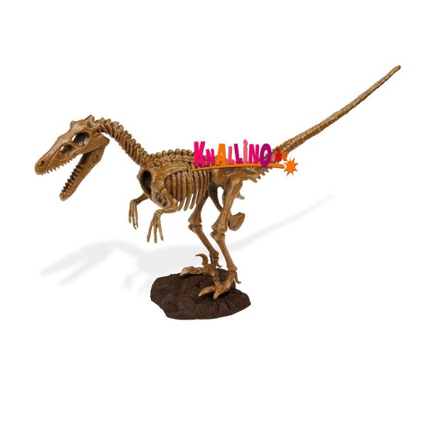 Geoworld Jurassic Eggs Velociraptor Dinoskelett zum Zusammenbauen